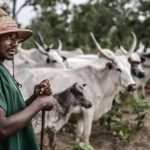 Qatar: Yawon Buɗe Ido na Bunƙasa a Gabas ta Tsakiya