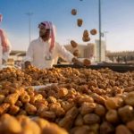 Chabbal Waadi: Wurin da Ya Fi Ko’ina Tudu a Najeriya