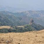 Yadda Bikin Kamun Kifi da Al’adun Gargajiya na Ƙabilar Nwonyo Ya Gudana